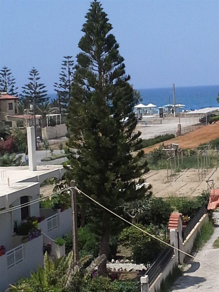 Amaril Daire Platanes  Dış mekan fotoğraf